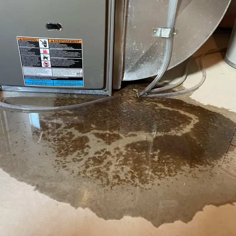 Appliance Leak Cleanup in Bellaire, TX