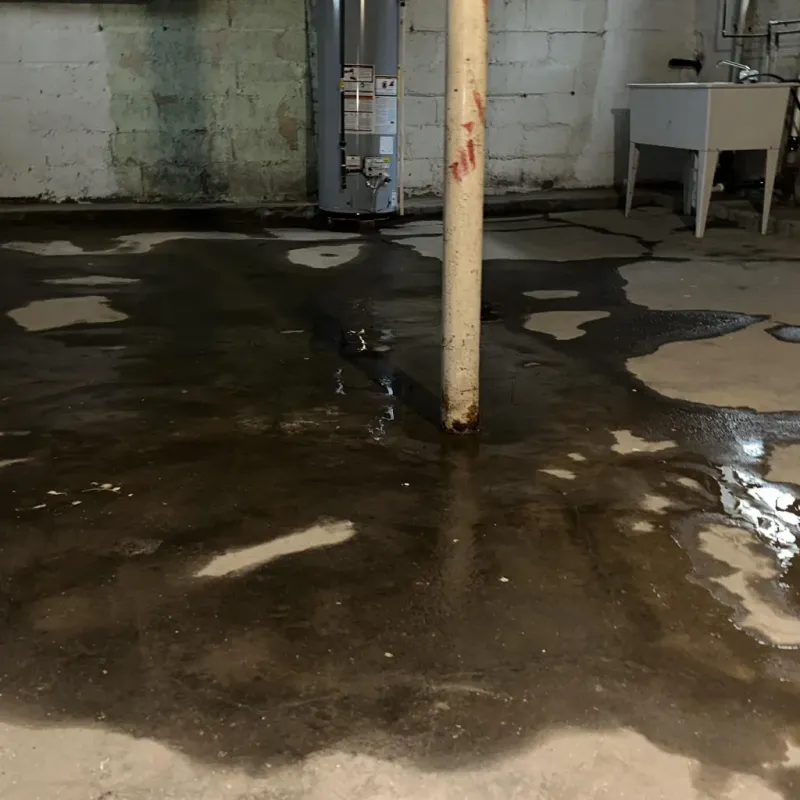 Emergency Water Extraction And Removal in Bellaire, TX